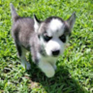 Meet your Posher, Melanie